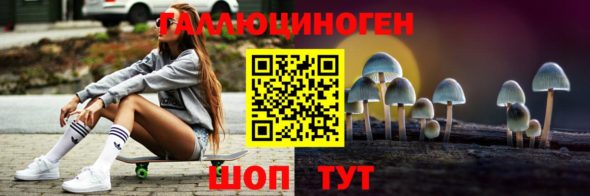 Звенигород  Галлюциногенные грибы Cubensis  Вход с VPN 